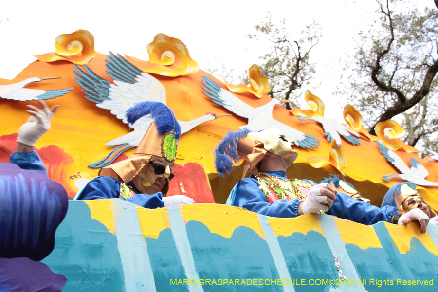 Rex-King-of-Carnival-2026-12079