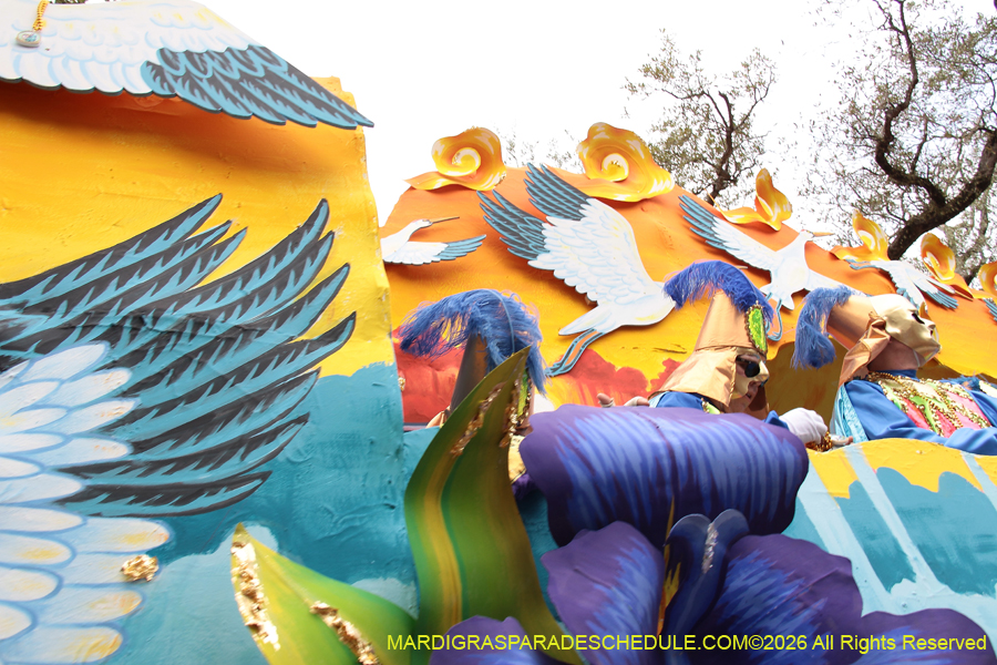 Rex-King-of-Carnival-2026-12080