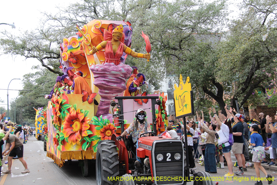 Rex-King-of-Carnival-2026-12081