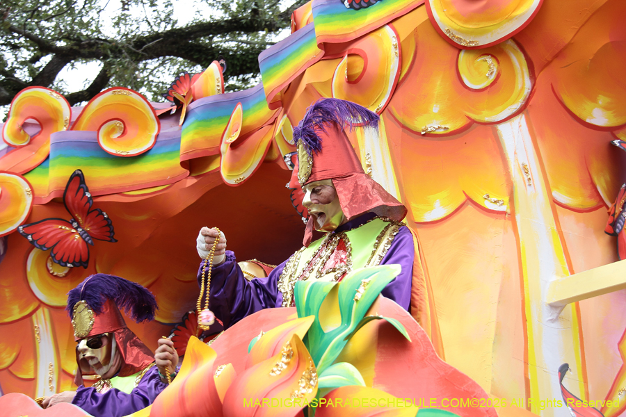 Rex-King-of-Carnival-2026-12083