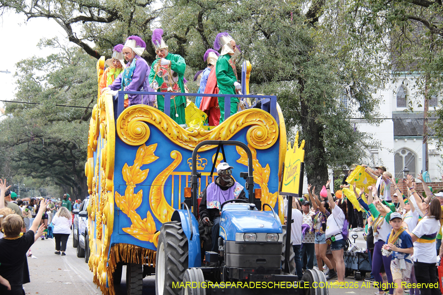 Rex-King-of-Carnival-2026-12088