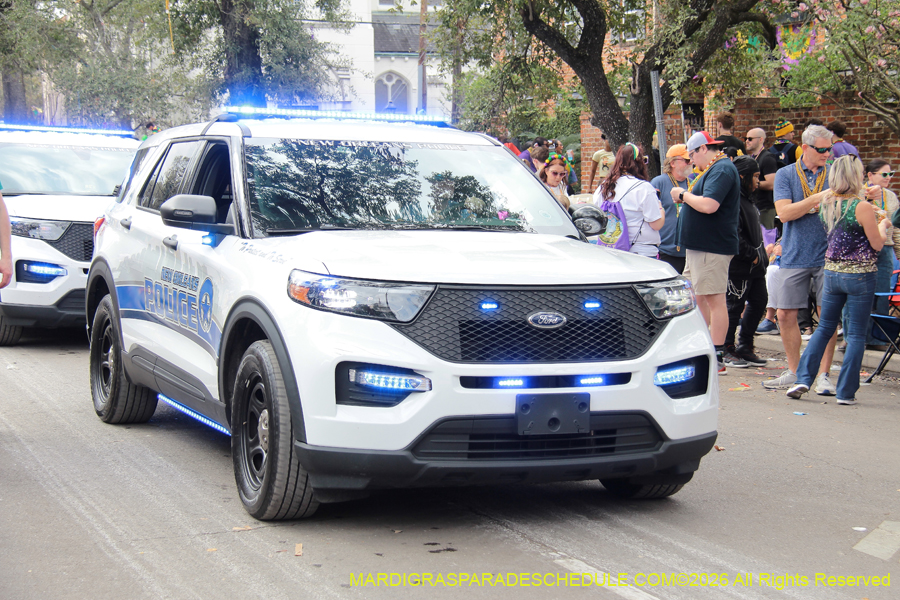 Rex-King-of-Carnival-2026-12094