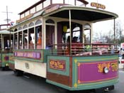 Krewe-of-Rhea-2009-Metairie-Mardi-Gras-Harriet-Cross-7813