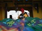 Krewe-of-Rhea-2009-Metairie-Mardi-Gras-Harriet-Cross-7964