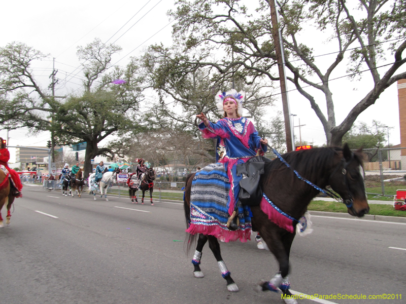 Krewe-of-Rhea-HC-2011-0003