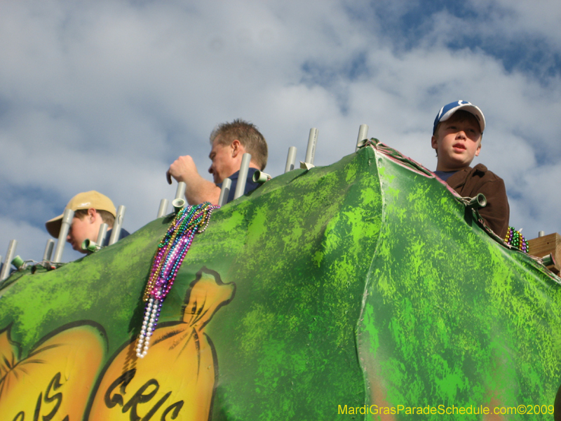 Krewe-of-Slidellians-Mardi-Gras-Slidell-2009-0242