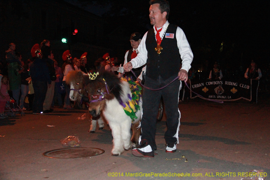 2014-Knights-of-Sparta11094