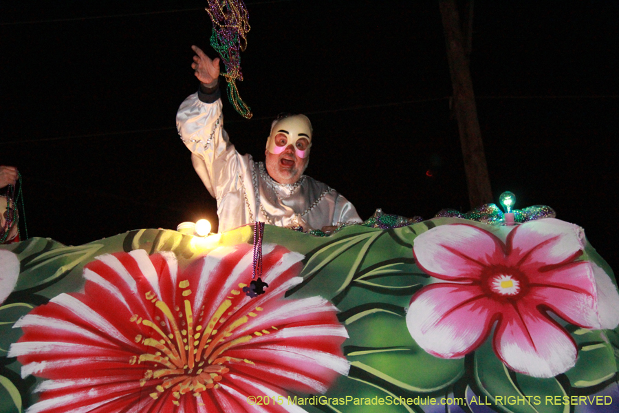 Knights-of-Sparta-2015-10888