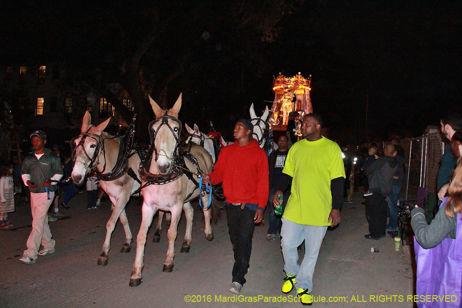 2016-Knights-of-Sparta-002240