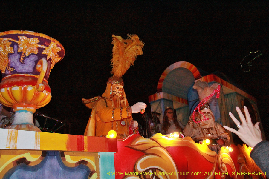 2016-Knights-of-Sparta-002251