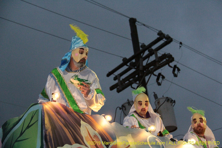 Knights-of-Sparta-2019-002464