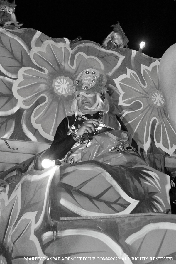 Knights-of-Sparta-00105-2022