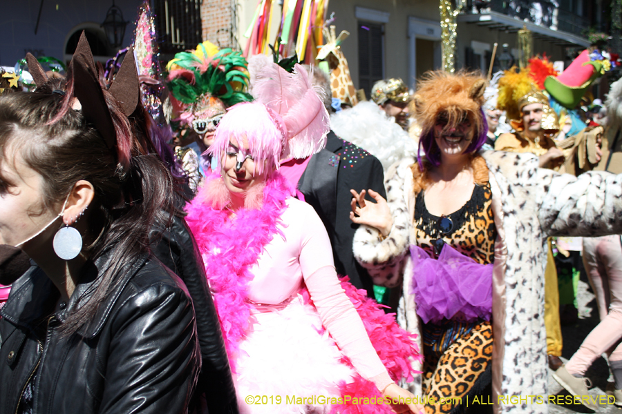 Society-of-Saint-Anne-NC-2019-011464