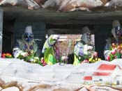 Krewe-of-Thoth-2011-0197