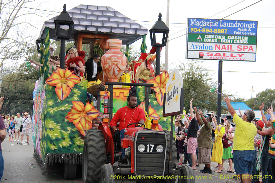 2014-Krewe-of-Thoth-11061