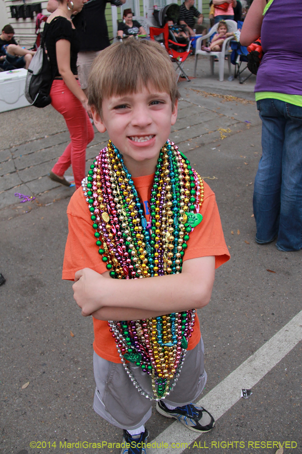 2014-Krewe-of-Thoth-11080