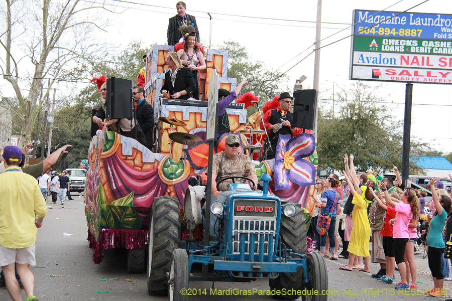 2014-Krewe-of-Thoth-11081