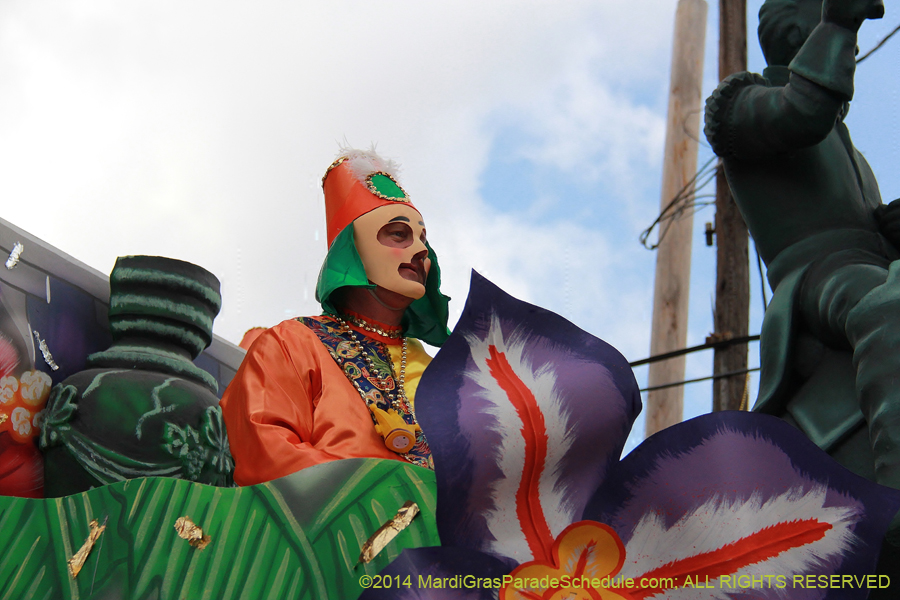2014-Krewe-of-Thoth-11089