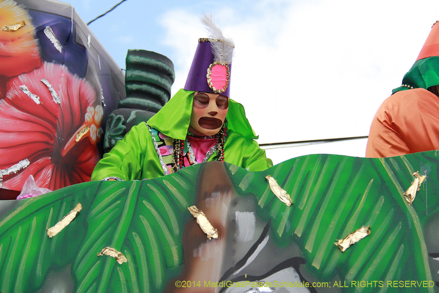 2014-Krewe-of-Thoth-11091