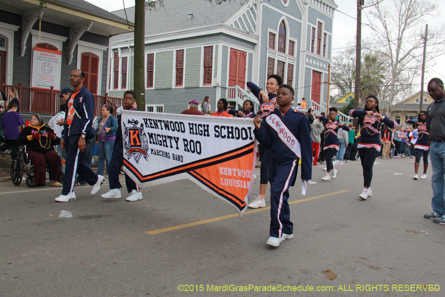 Krewe-of-Thoth-2015-17963