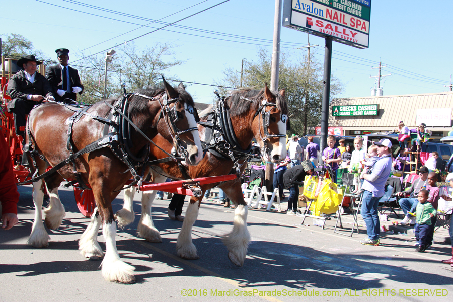 2016-Krewe-of-Thoth-012249