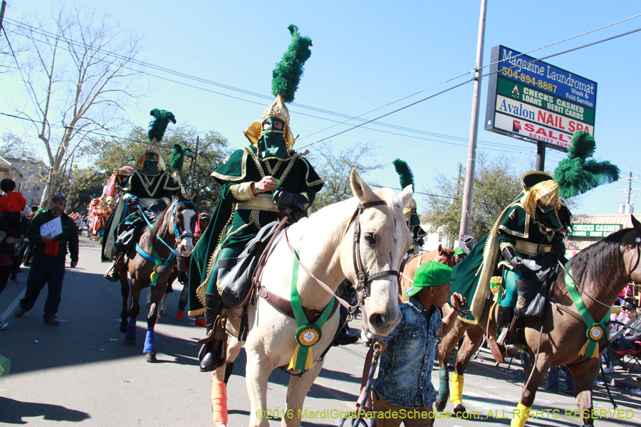 2016-Krewe-of-Thoth-012267