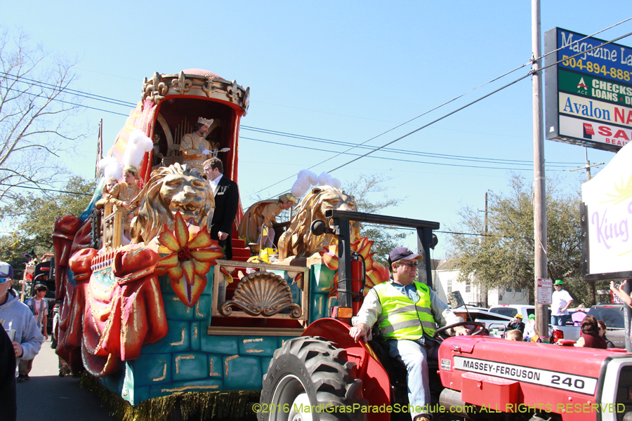 2016-Krewe-of-Thoth-012269