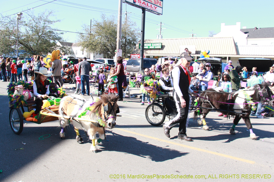 2016-Krewe-of-Thoth-012346