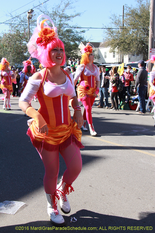 2016-Krewe-of-Thoth-012379