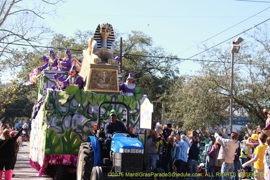 2016-Krewe-of-Thoth-012395