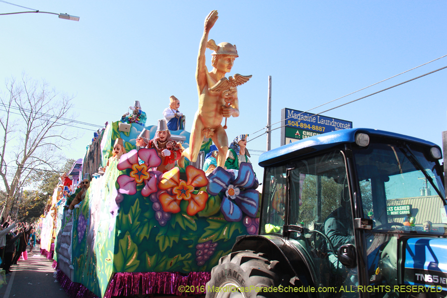 2016-Krewe-of-Thoth-012463