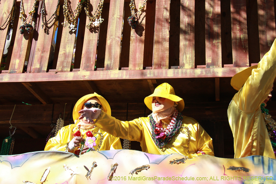 2016-Krewe-of-Thoth-012482