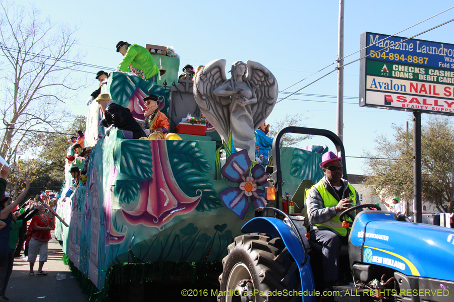 2016-Krewe-of-Thoth-012490