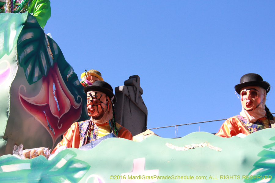 2016-Krewe-of-Thoth-012492