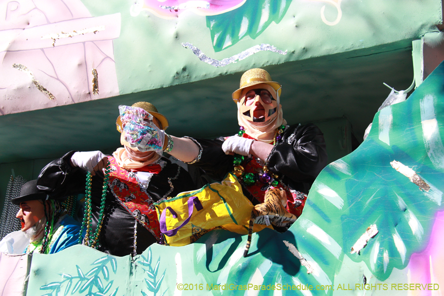 2016-Krewe-of-Thoth-012494