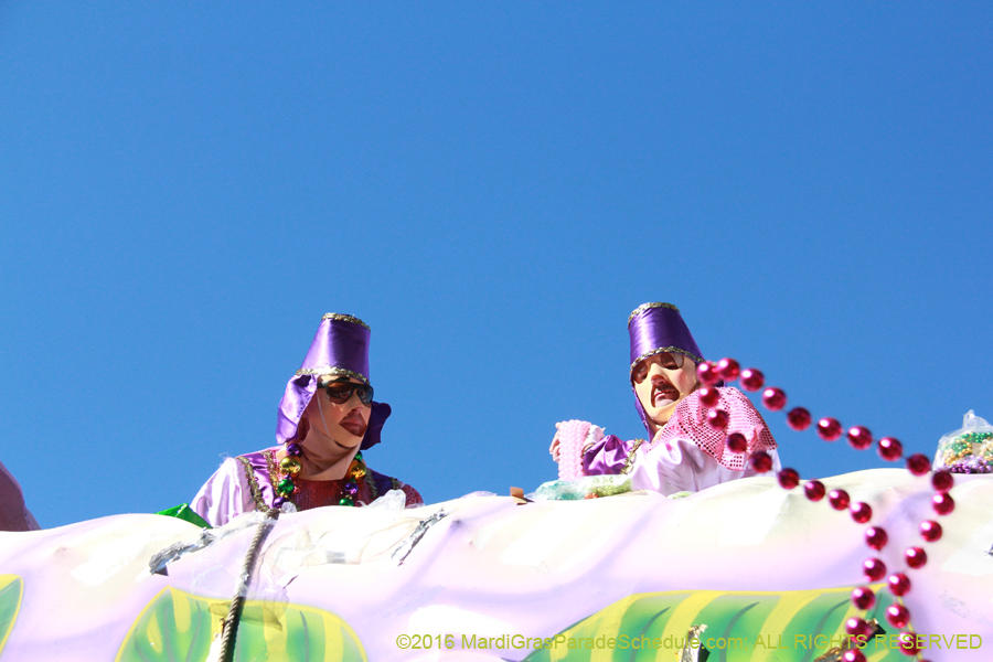 2016-Krewe-of-Thoth-012572