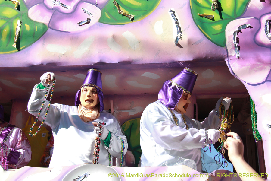 2016-Krewe-of-Thoth-012573