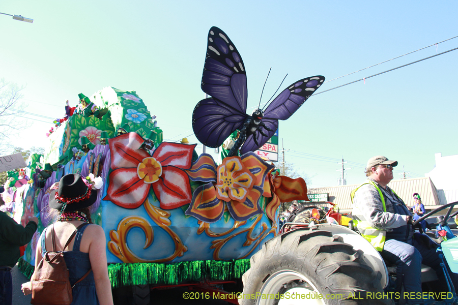 2016-Krewe-of-Thoth-012597