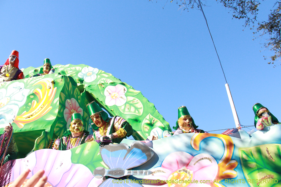 2016-Krewe-of-Thoth-012599