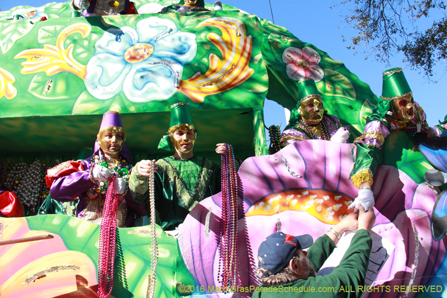 2016-Krewe-of-Thoth-012601