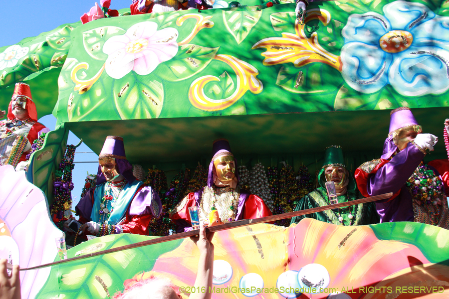 2016-Krewe-of-Thoth-012602