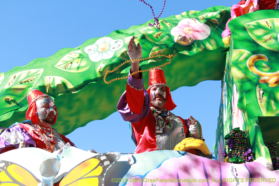 2016-Krewe-of-Thoth-012604