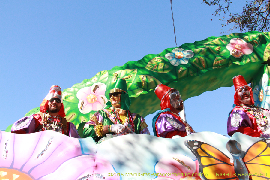 2016-Krewe-of-Thoth-012605