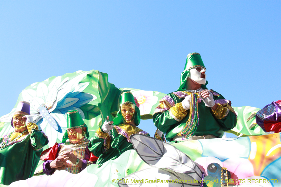 2016-Krewe-of-Thoth-012607