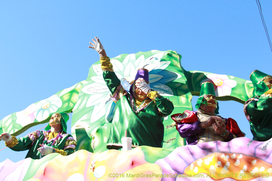 2016-Krewe-of-Thoth-012608