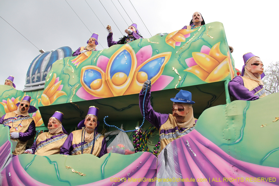 Krewe-of-Thoth-2019-008223