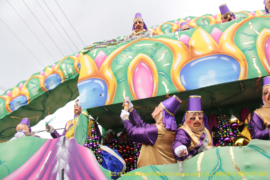 Krewe-of-Thoth-2019-008235