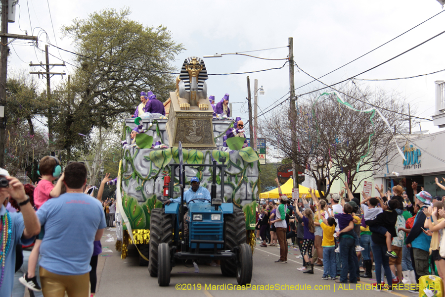 Krewe-of-Thoth-2019-008238
