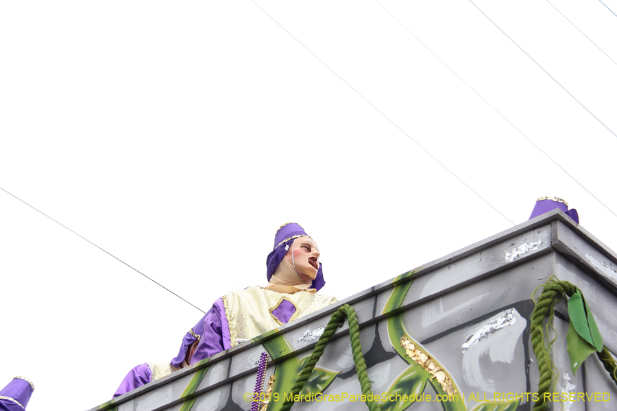Krewe-of-Thoth-2019-008242