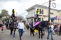 Krewe-of-Thoth-2019-008205